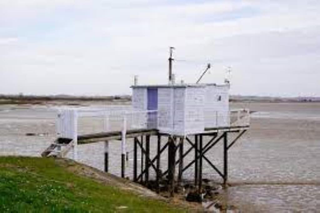 Maison Au Coeur Des Vignes Cussac-Fort-Medoc Exteriér fotografie